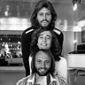 Bee Gees